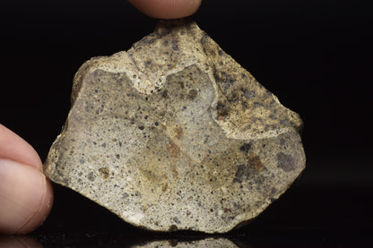 NWA 15405 Eucrite Slice 17.36 G