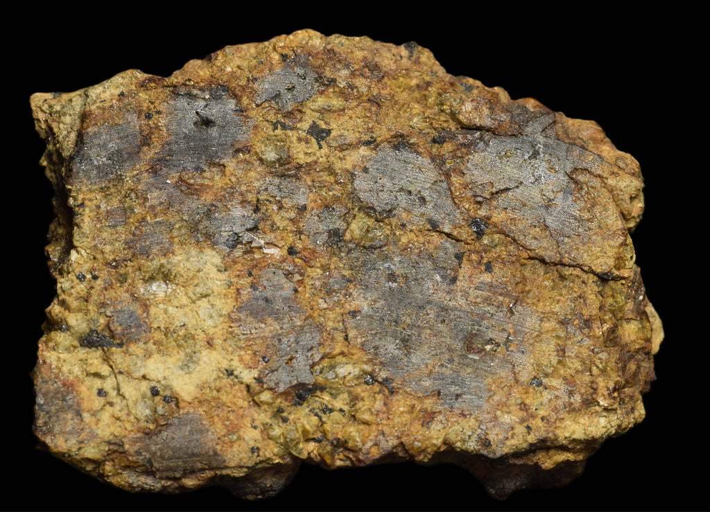 NWA 13692 Diogenite 26 G