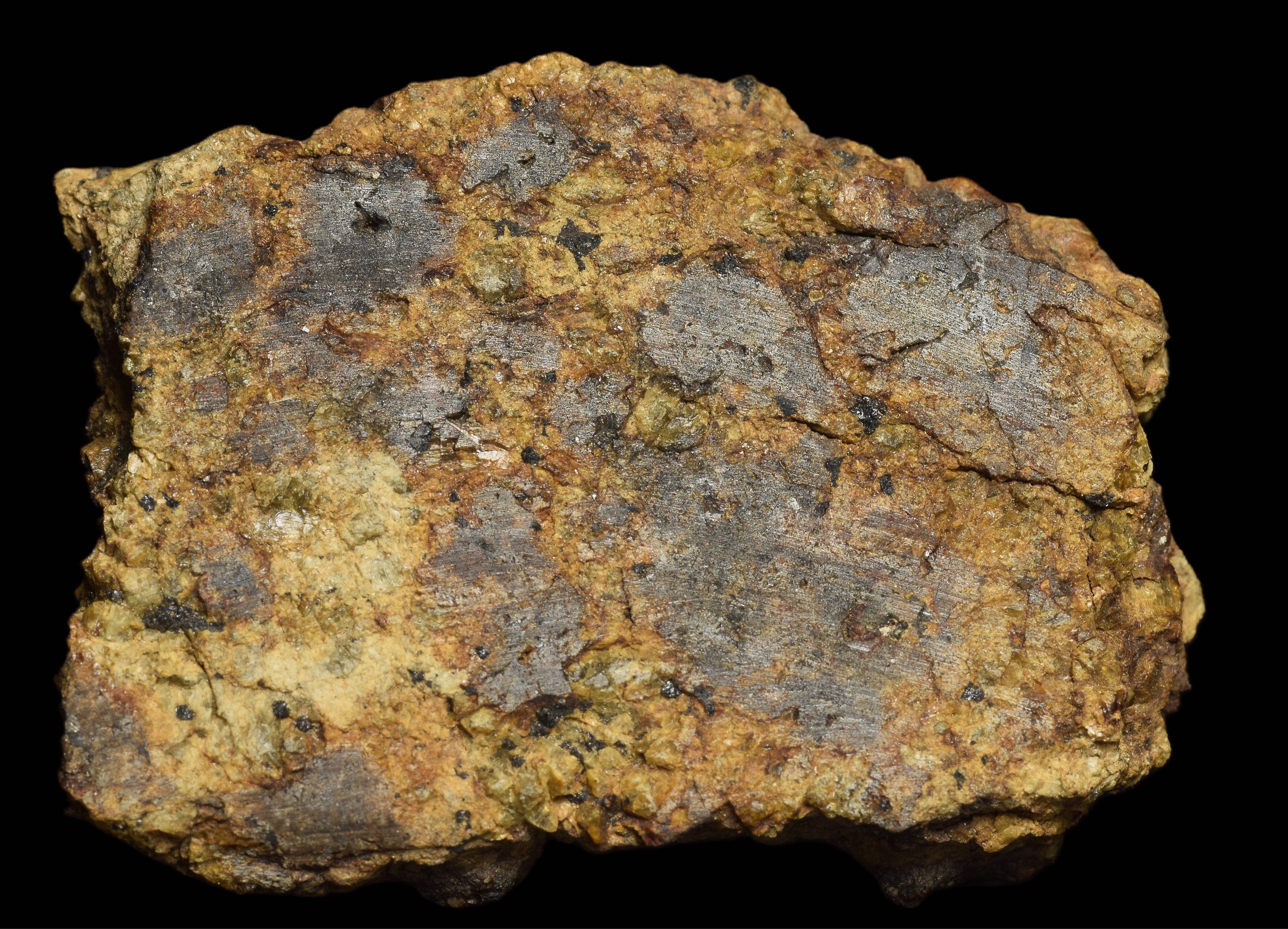 NWA 13692 Diogenite 26 G