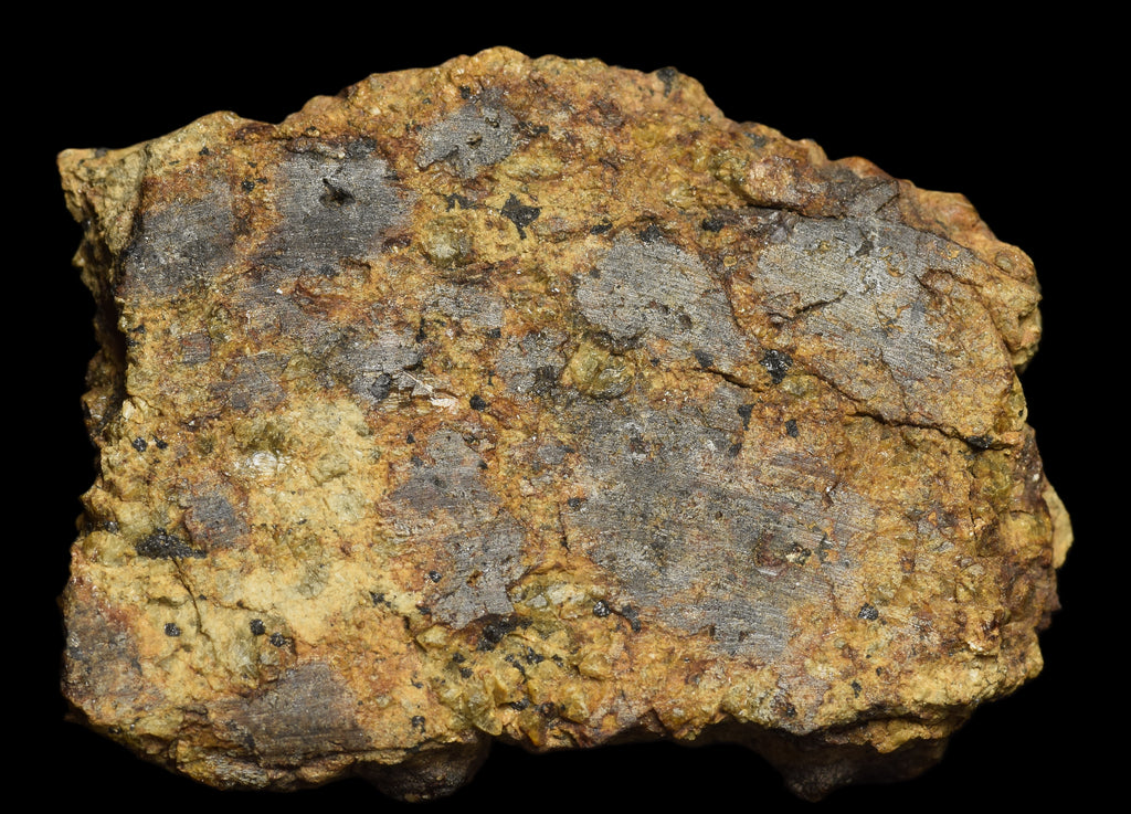 NWA 13692 Diogenite 26 G