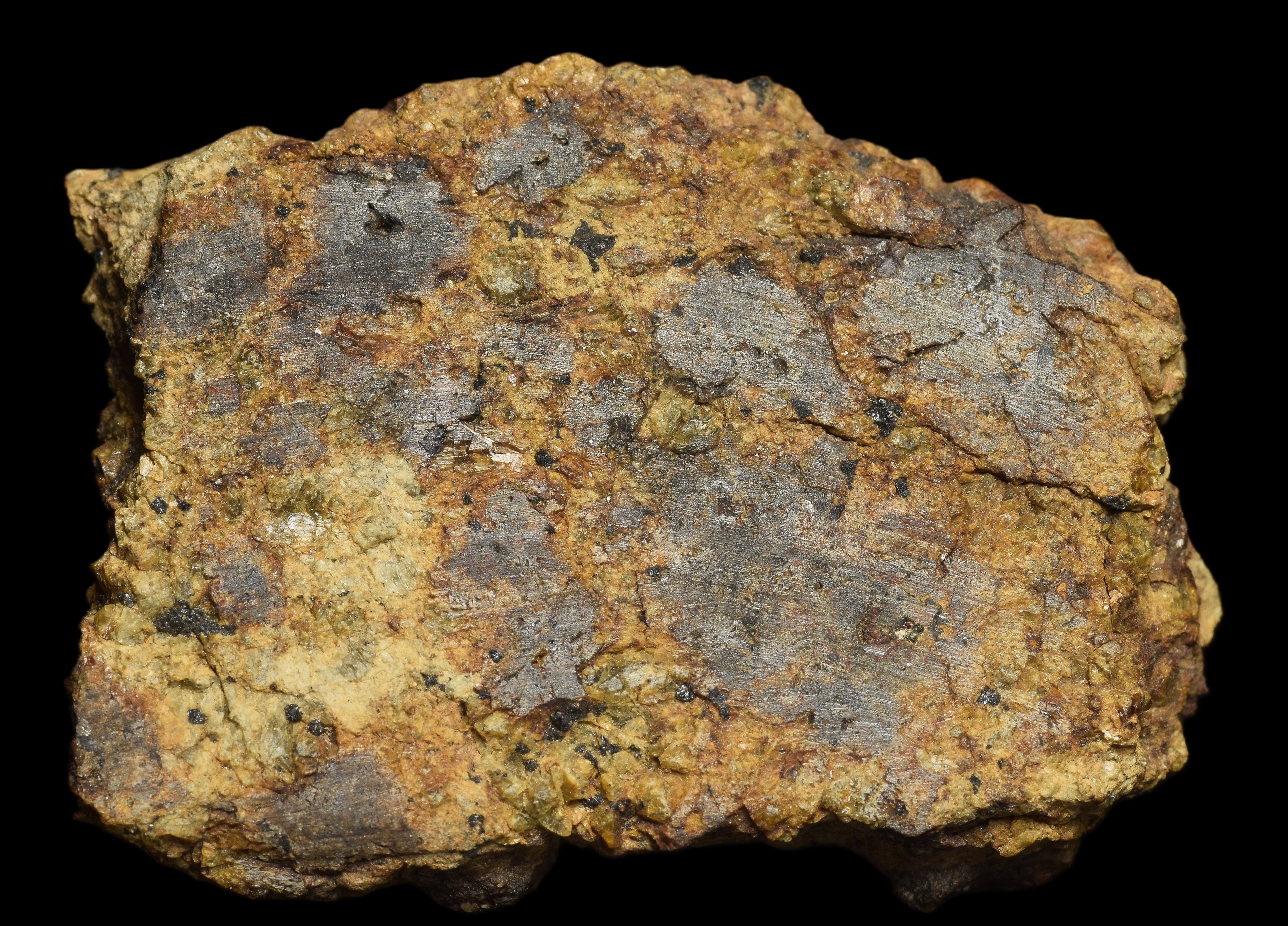 NWA 13692 Diogenite 26 G