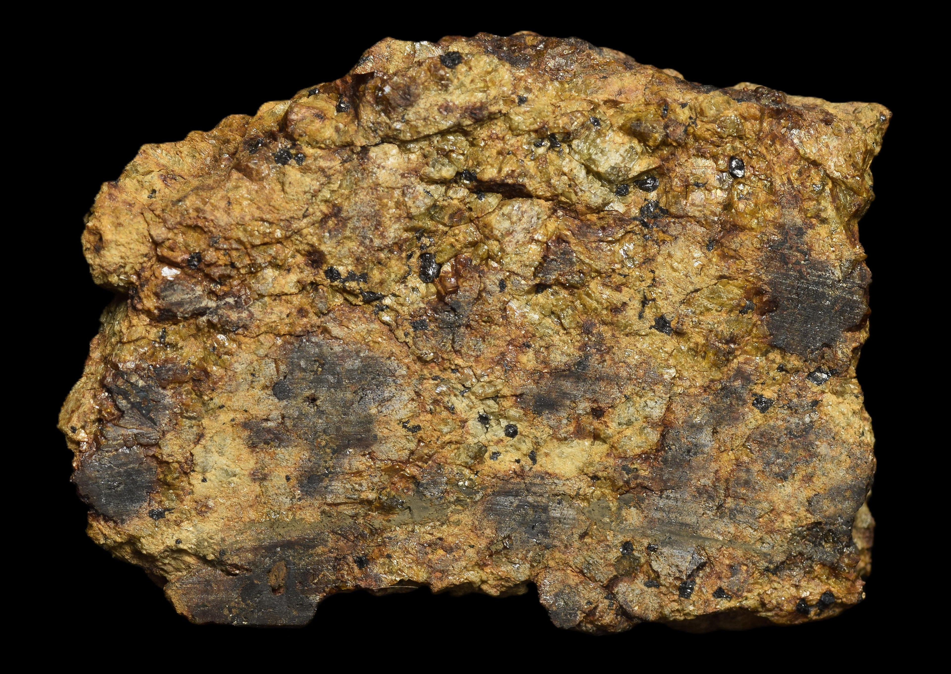 NWA 13692 Diogenite 26 G