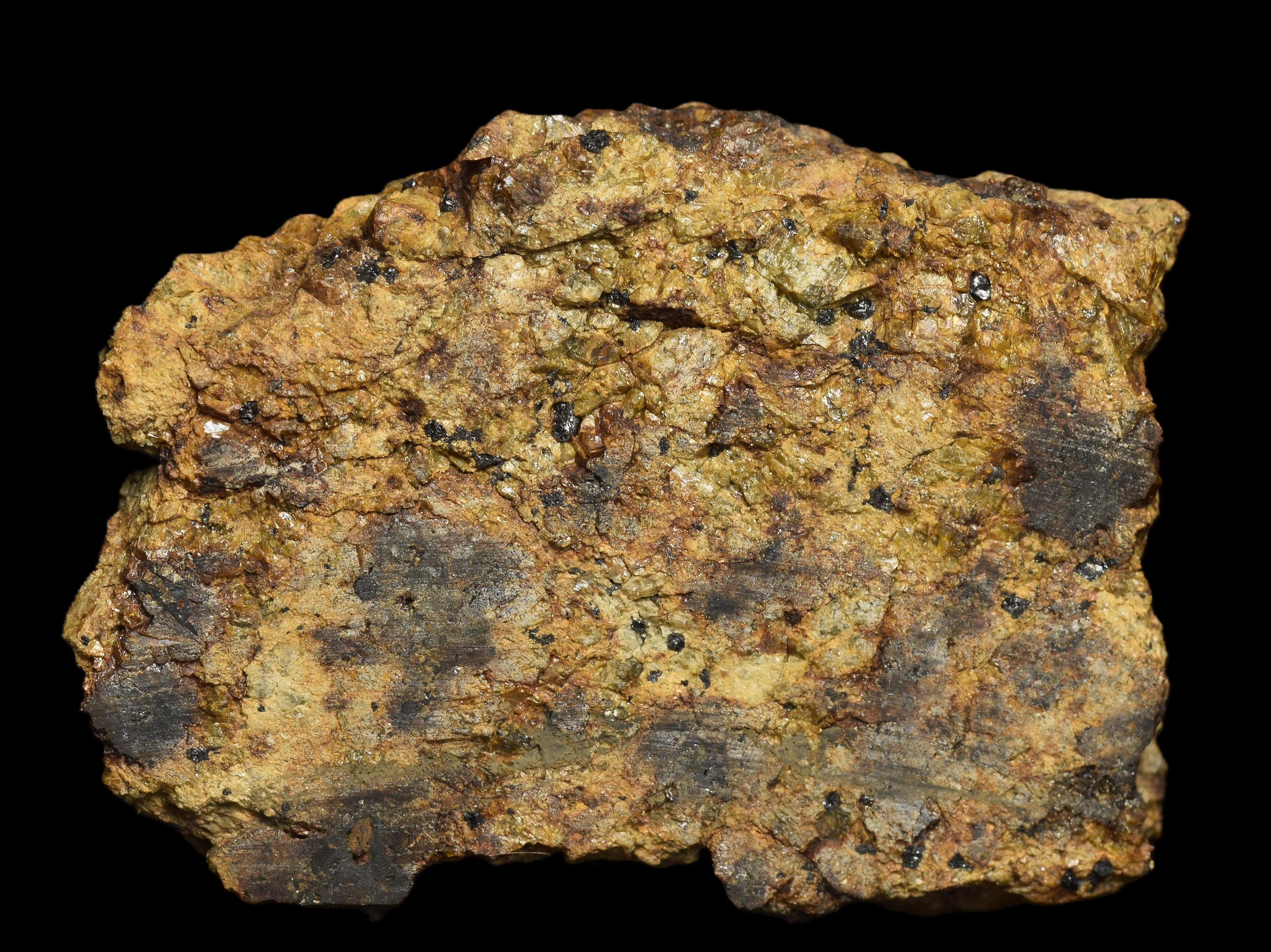 NWA 13692 Diogenite 26 G