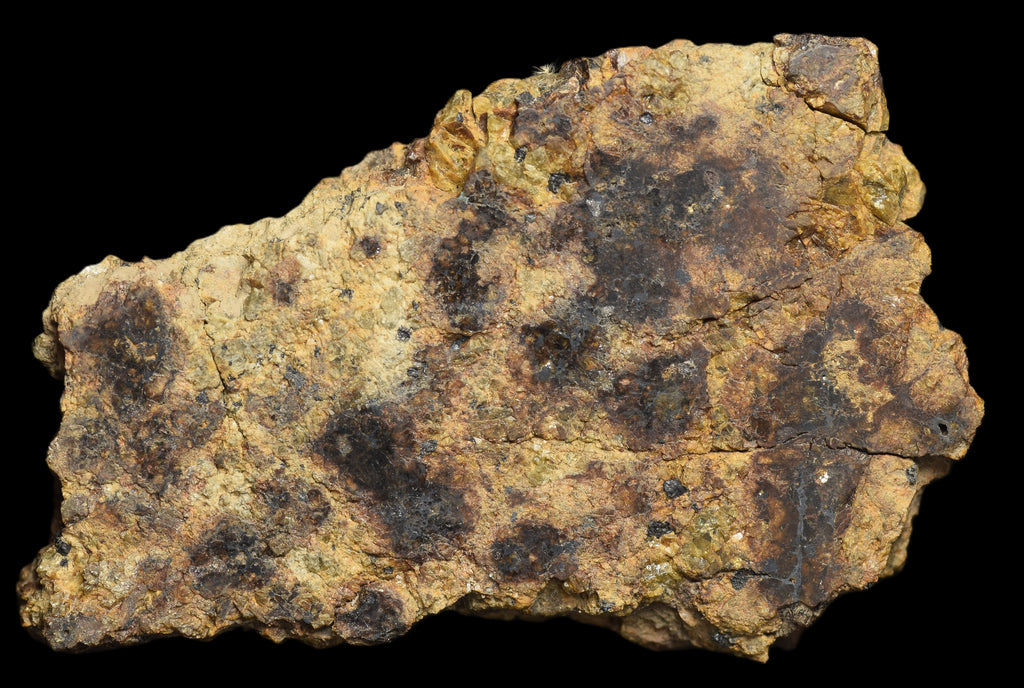 NWA 13692 Diogenite 33.89 G