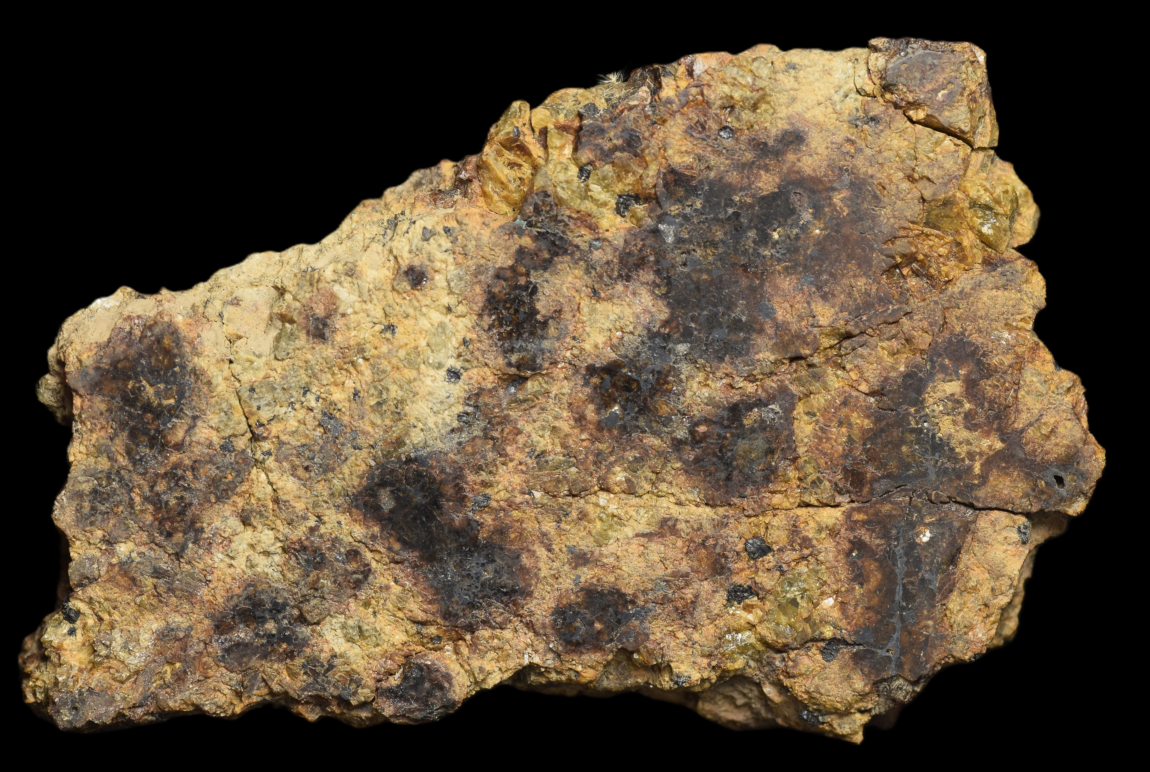 NWA 13692 Diogenite 33.89 G