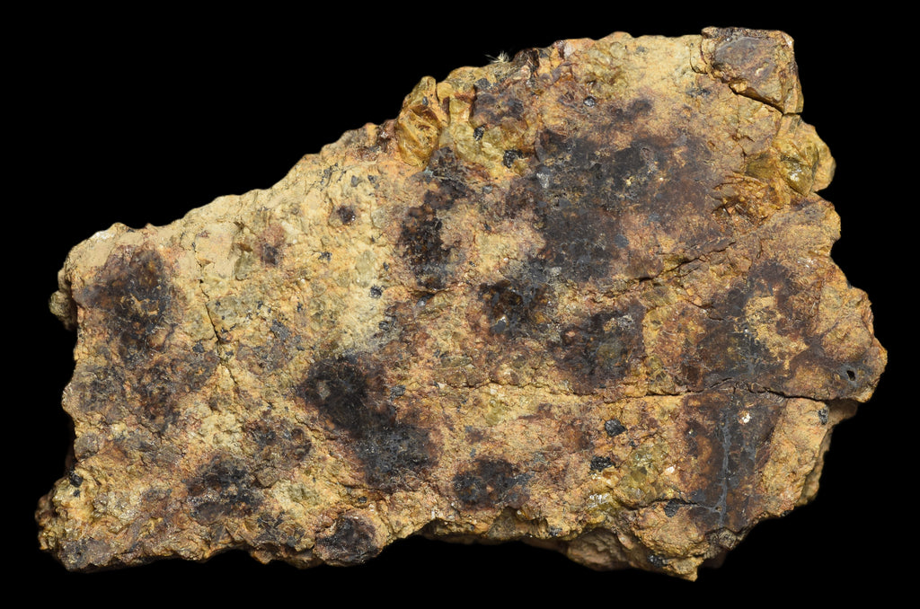 NWA 13692 Diogenite 33.89 G