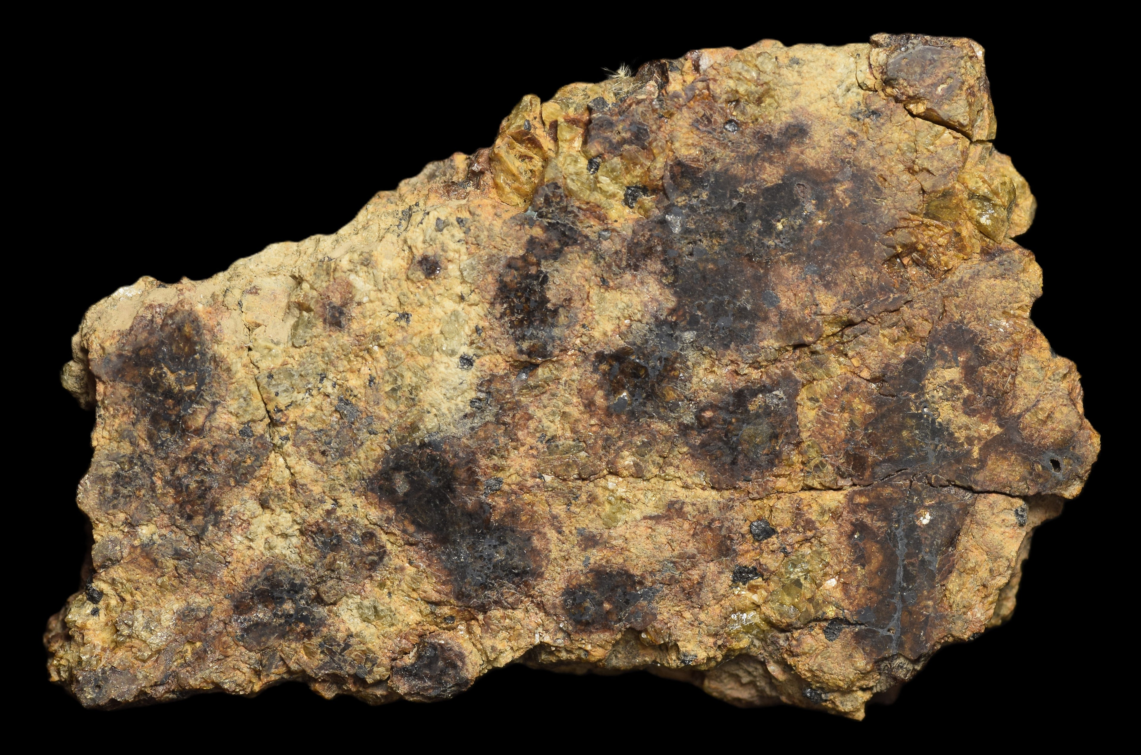 NWA 13692 Diogenite 33.89 G