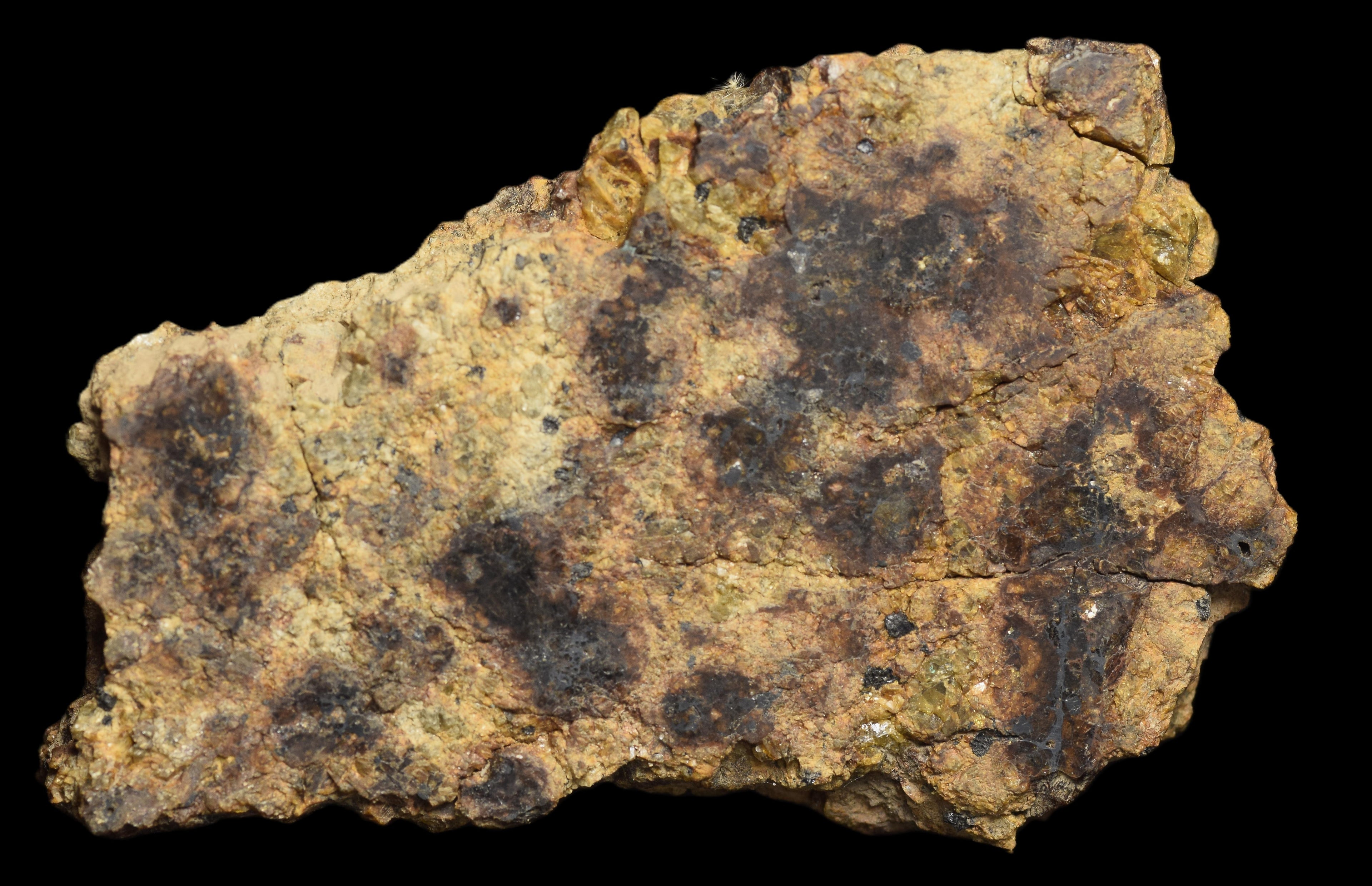 NWA 13692 Diogenite 33.89 G