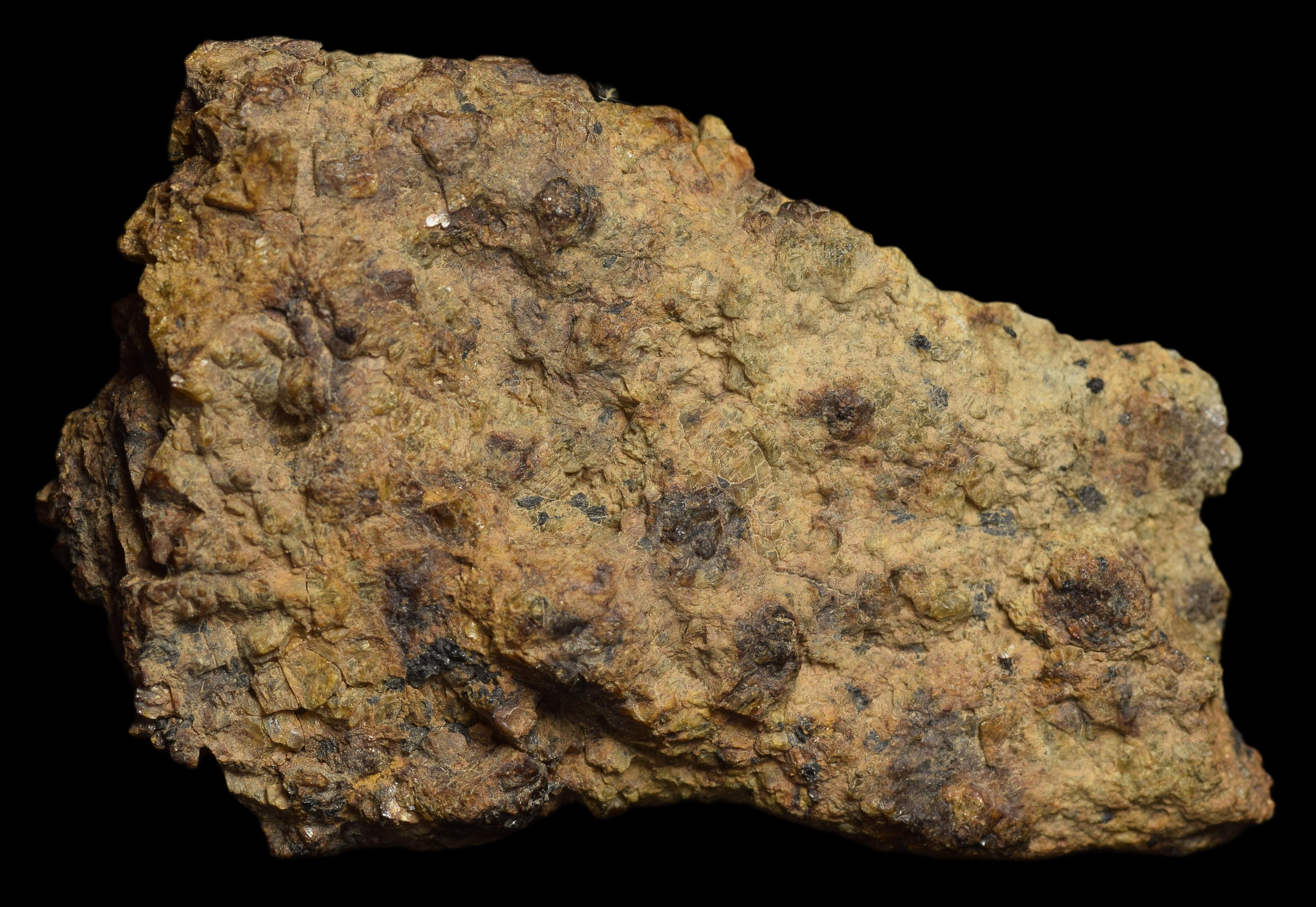 NWA 13692 Diogenite 33.89 G