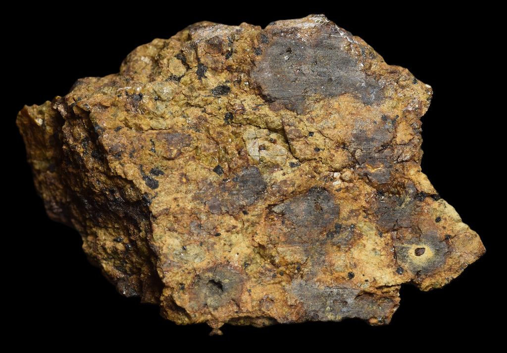 NWA 13692 Diogenite 36.31  G