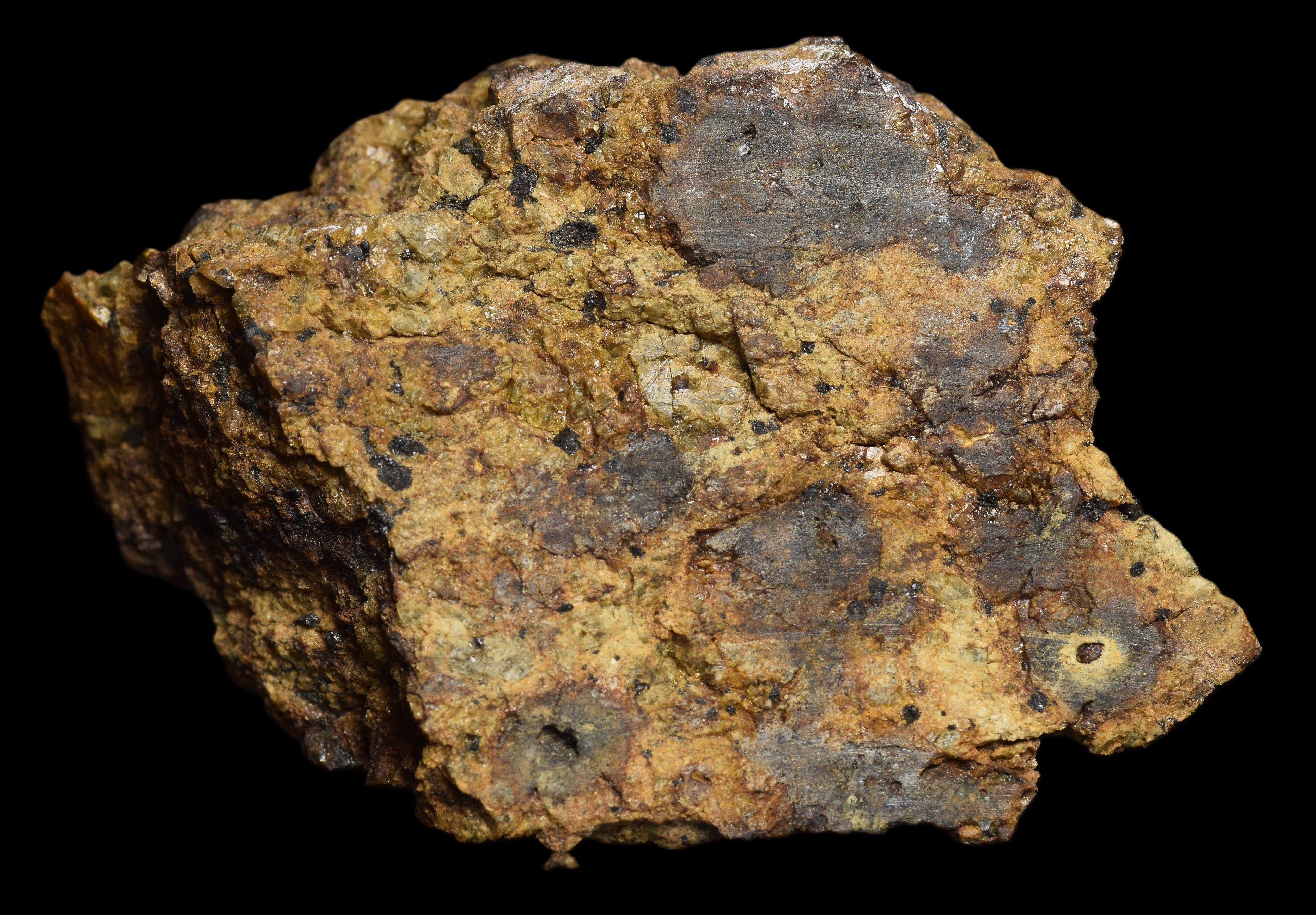 NWA 13692 Diogenite 36.31  G