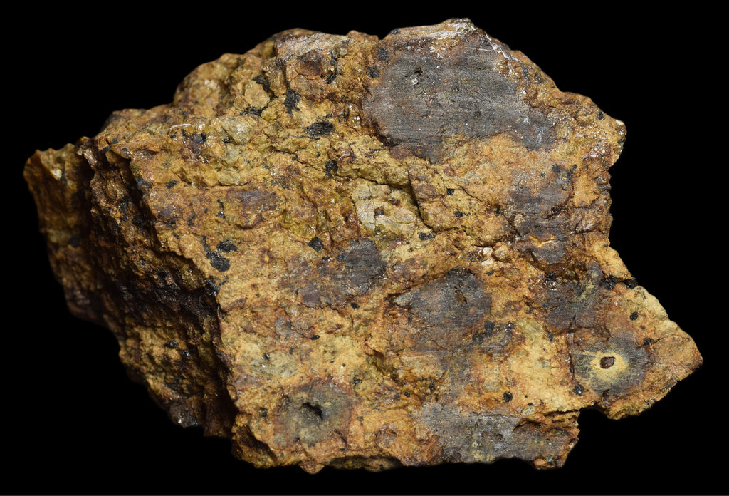 NWA 13692 Diogenite 36.31  G