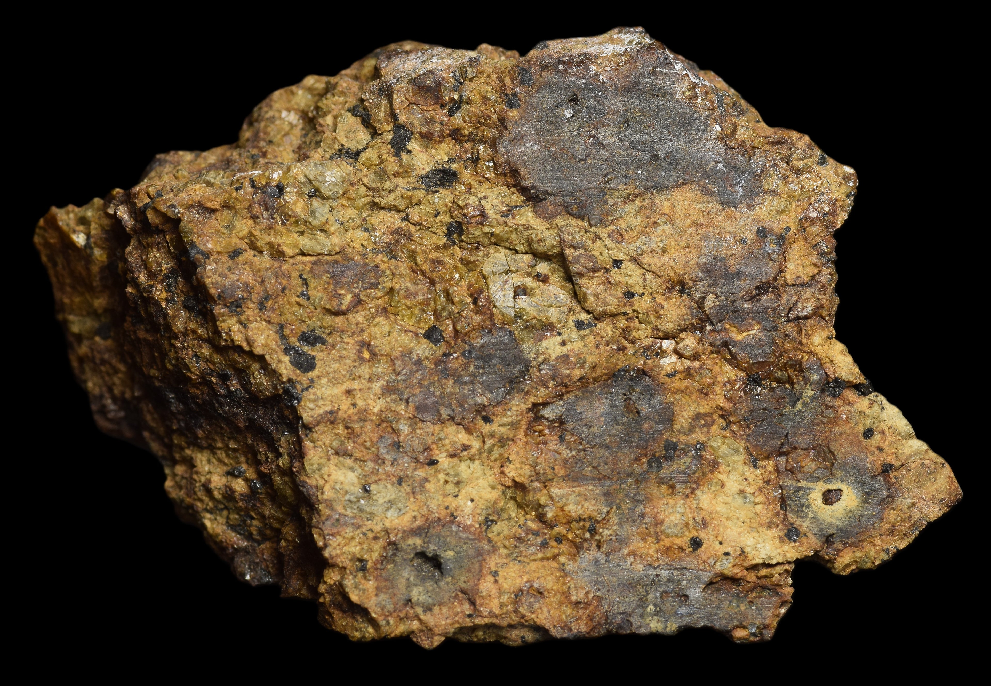 NWA 13692 Diogenite 36.31  G