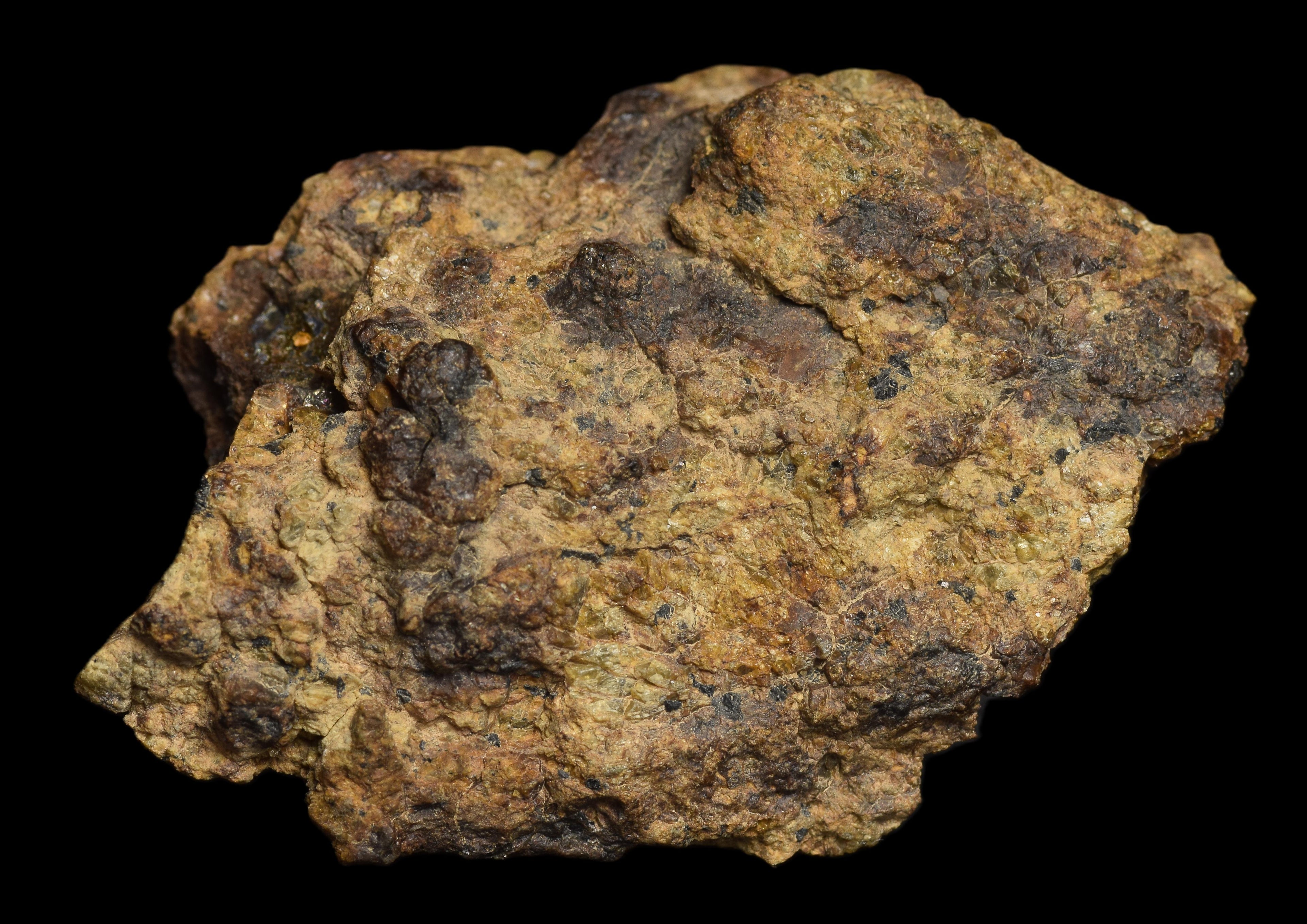 NWA 13692 Diogenite 36.31  G