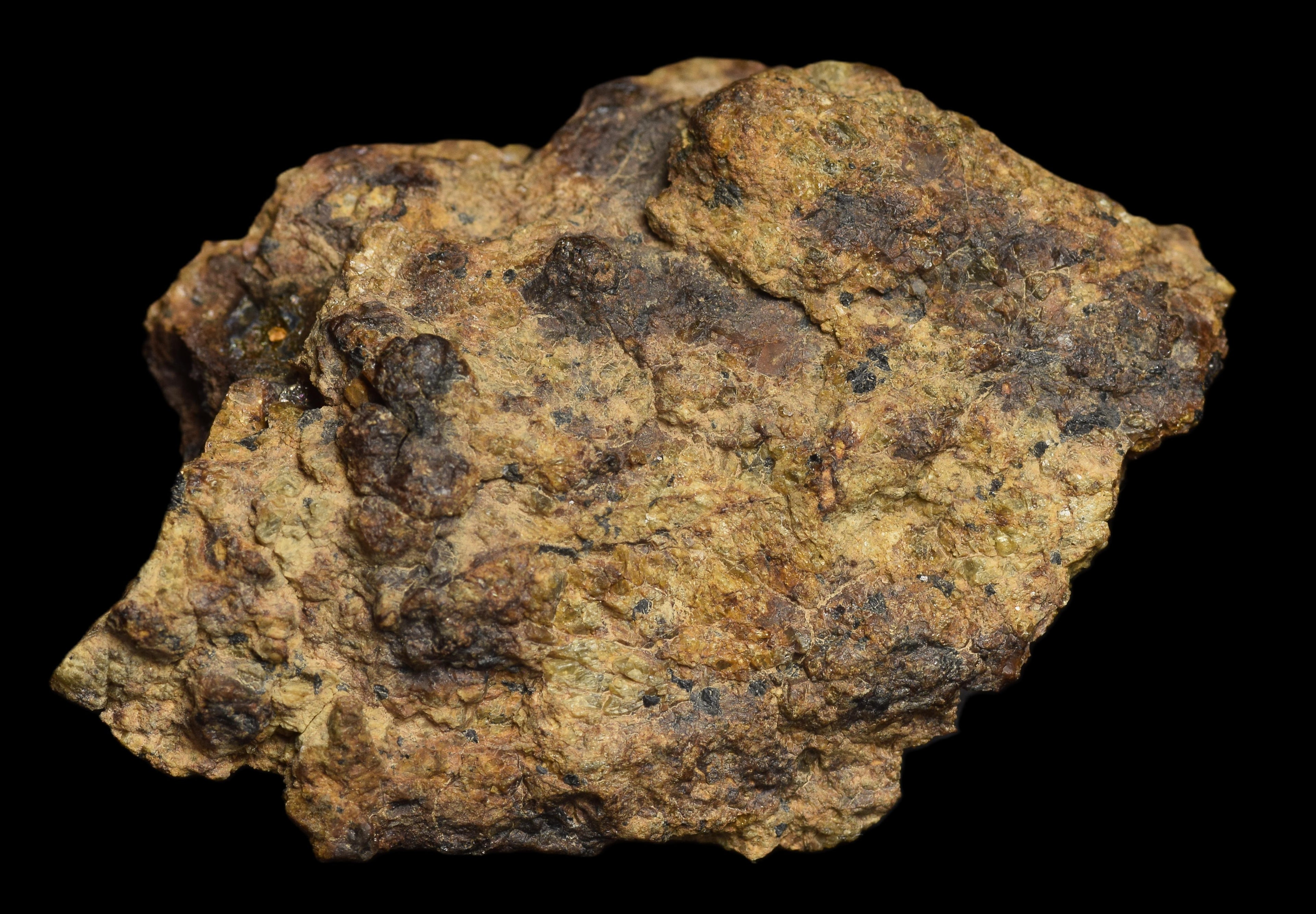 NWA 13692 Diogenite 36.31  G