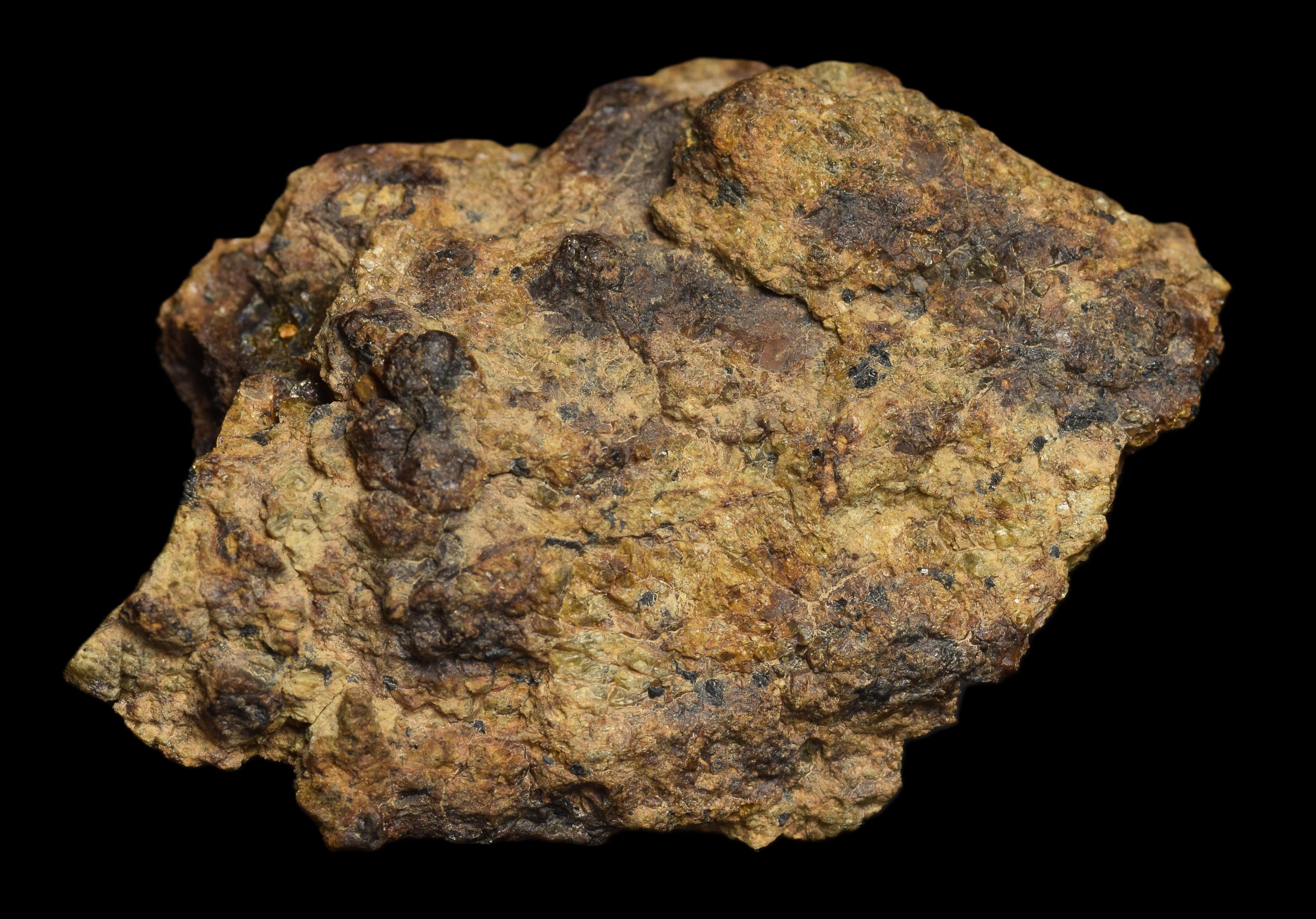 NWA 13692 Diogenite 36.31  G
