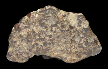 NWA 12344 Eucrite Fragment 4.73  G