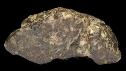 NWA 12344 Eucrite Fragment 4.73  G