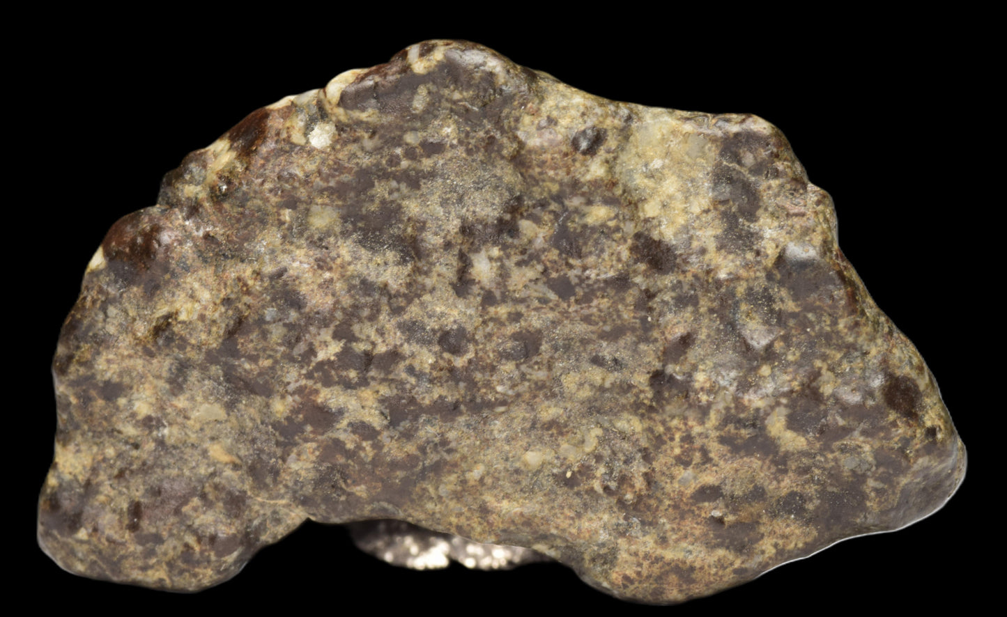 NWA 12344 Eucrite Fragment 4.73  G