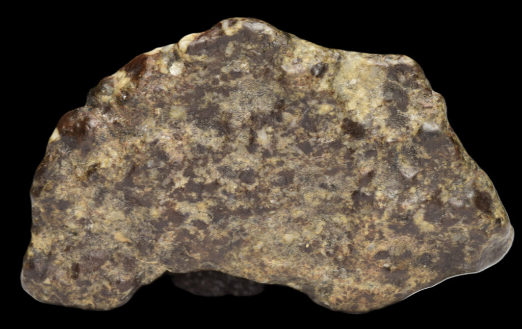 NWA 12344 Eucrite Fragment 4.73  G