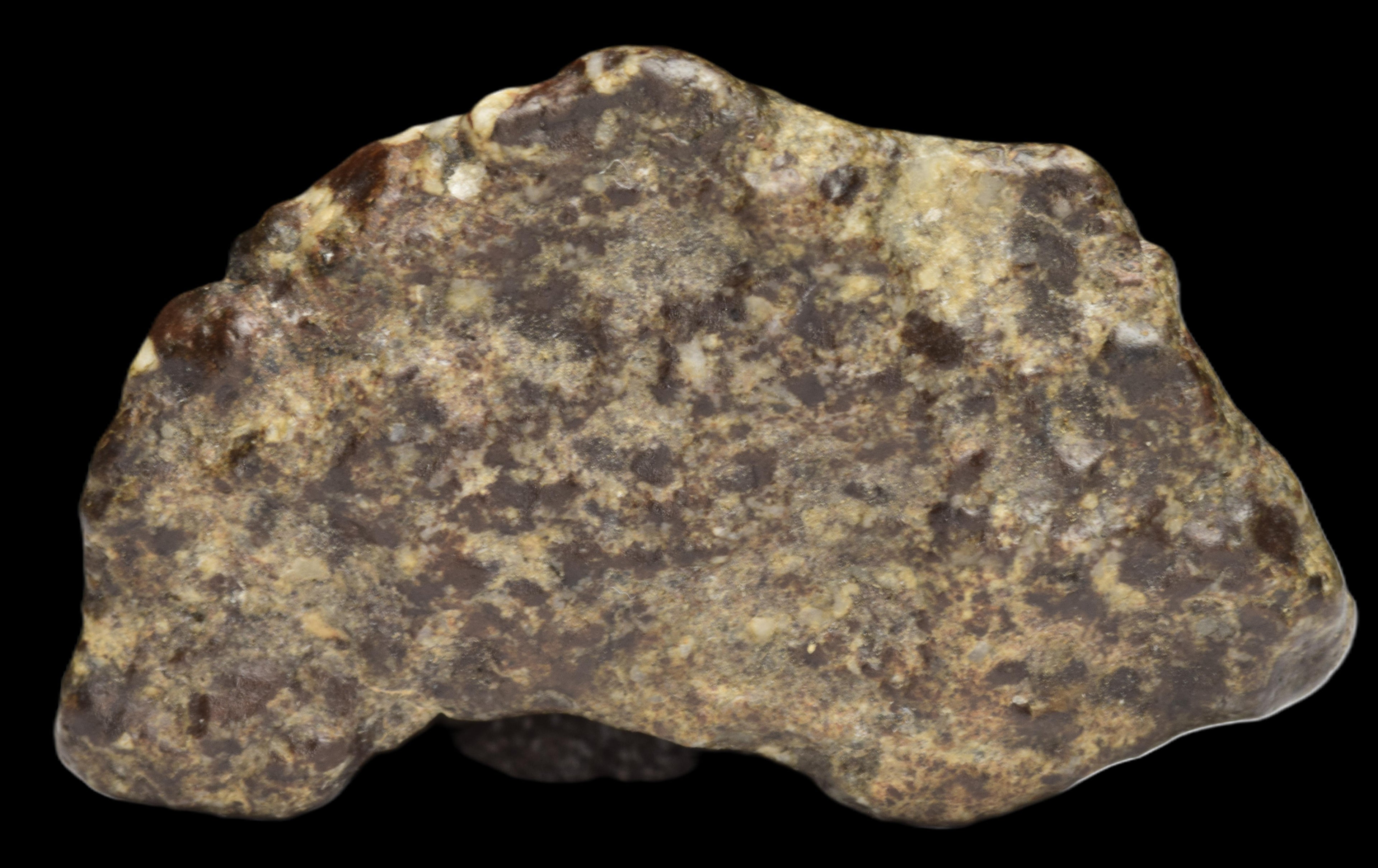 NWA 12344 Eucrite Fragment 4.73  G