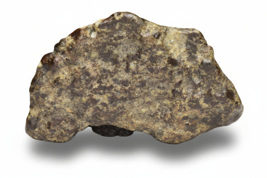 NWA 12344 Eucrite Fragment 4.73  G