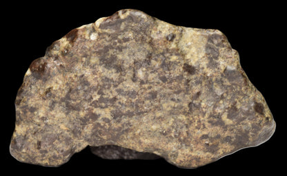 NWA 12344 Eucrite Fragment 4.73  G