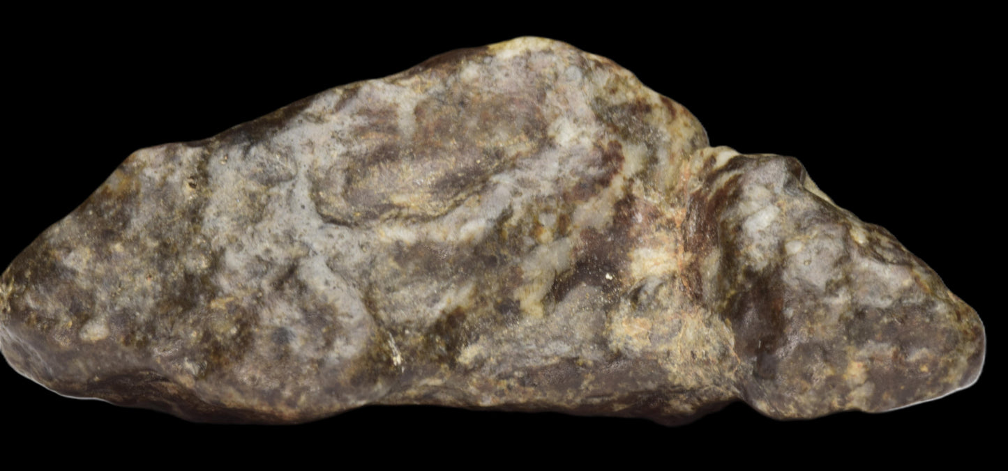 NWA 12344 Eucrite Fragment 4.73  G