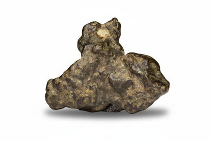 NWA 12344 Eucrite Fragment 6.24  G