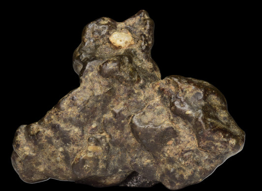 NWA 12344 Eucrite Fragment 6.24  G