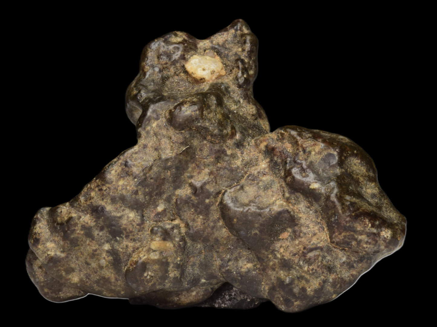 NWA 12344 Eucrite Fragment 6.24  G