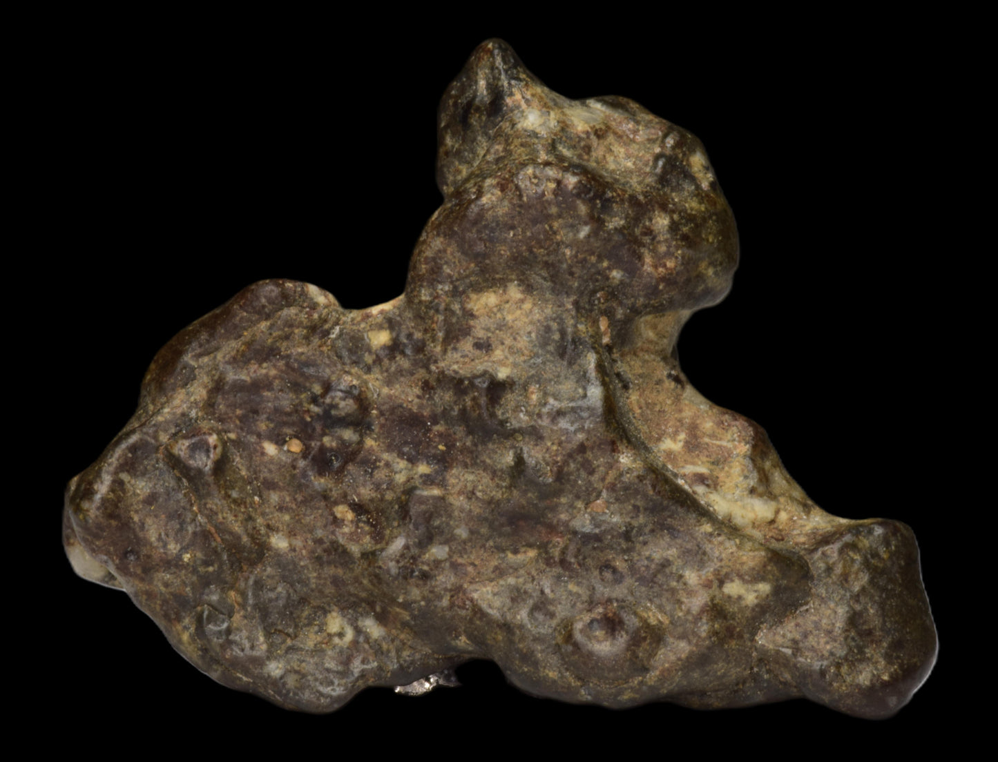 NWA 12344 Eucrite Fragment 6.24  G