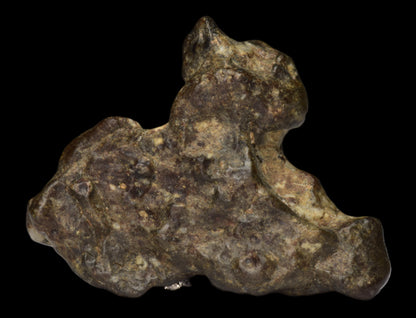 NWA 12344 Eucrite Fragment 6.24  G