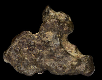 NWA 12344 Eucrite Fragment 6.24  G