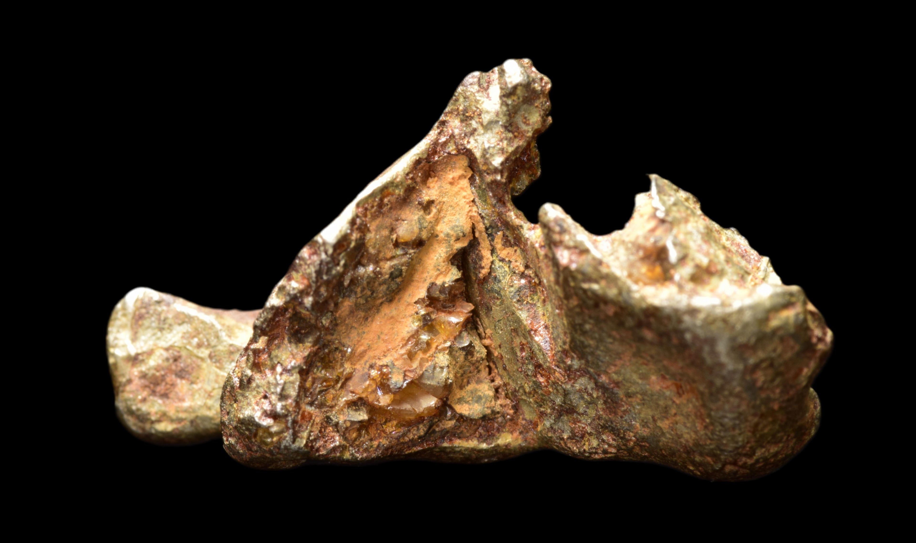 Golden Pallasite  2.46 G