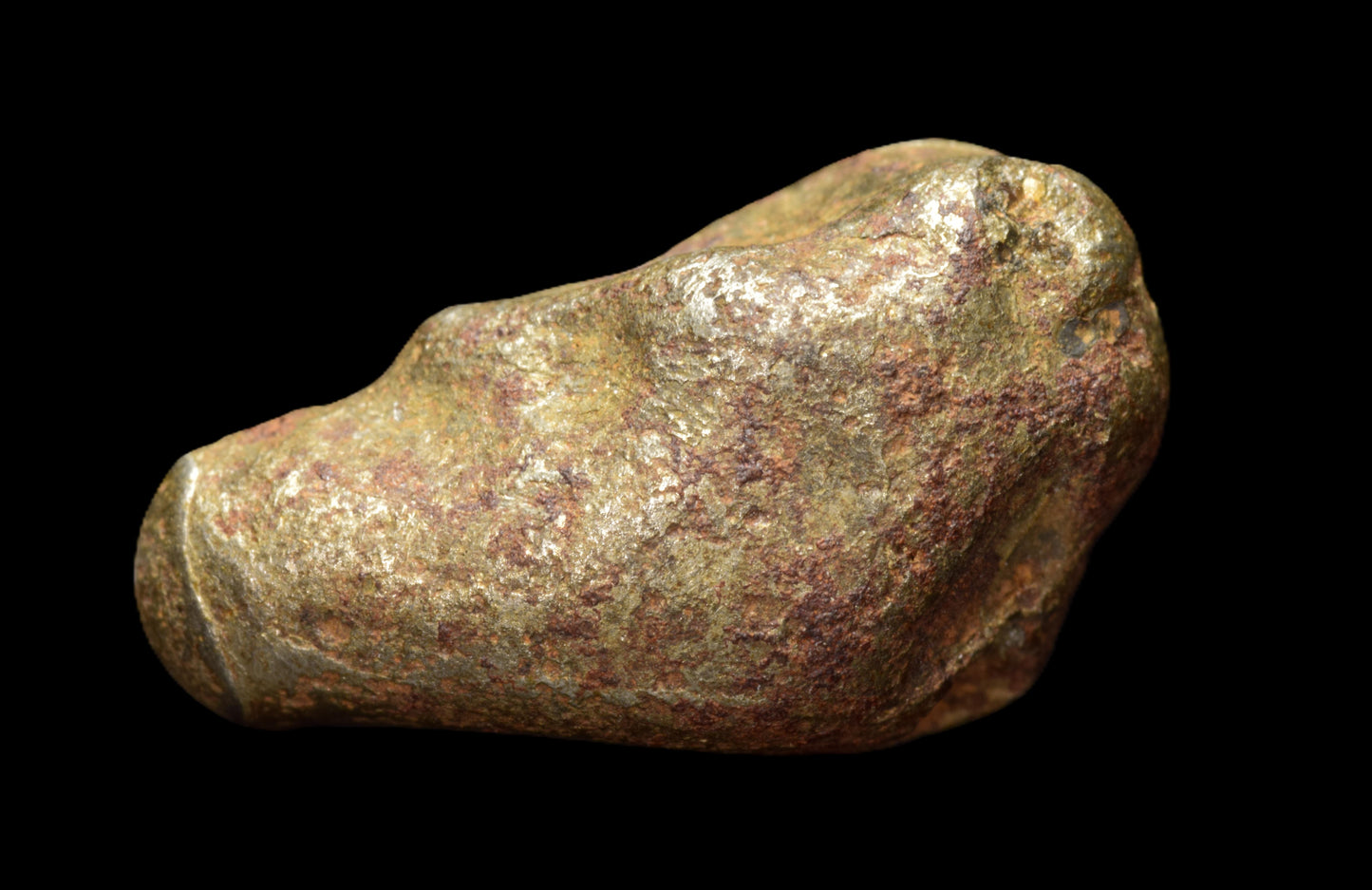 Golden Pallasite meteorite weighing 4.41 grams, showcasing its metallic and crystalline surface details from Buy Meteorite, LLC.