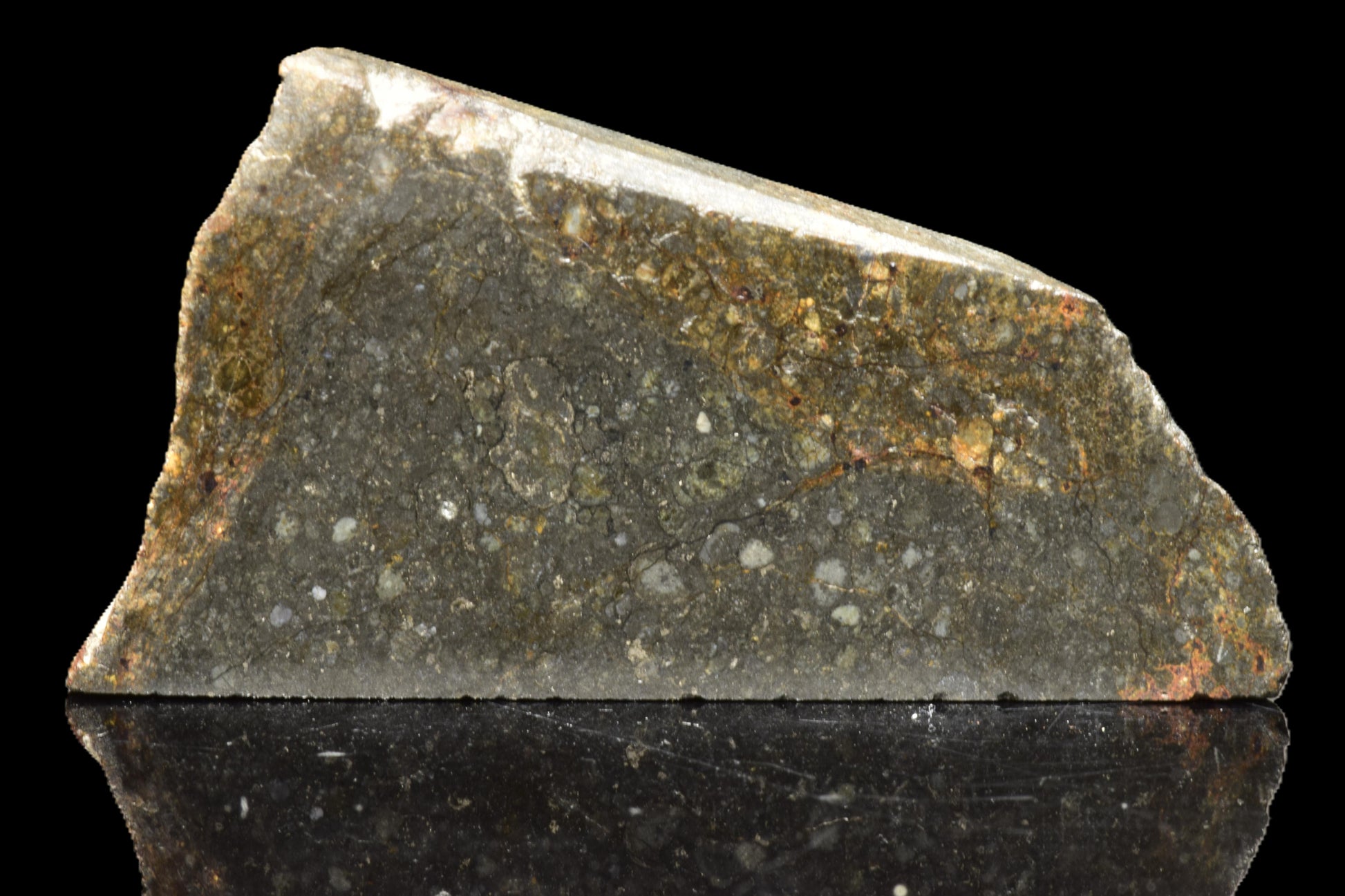 NWA 14224 LL3 meteorite slice weighing 4.47 grams, showing metallic and rocky textures, from Buy Meteorite, LLC.