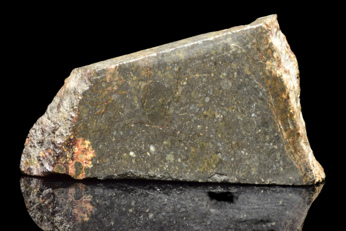 NWA 14224 LL3 meteorite slice weighing 4.47 grams, displayed on a white background, showcasing its dark, textured surface.