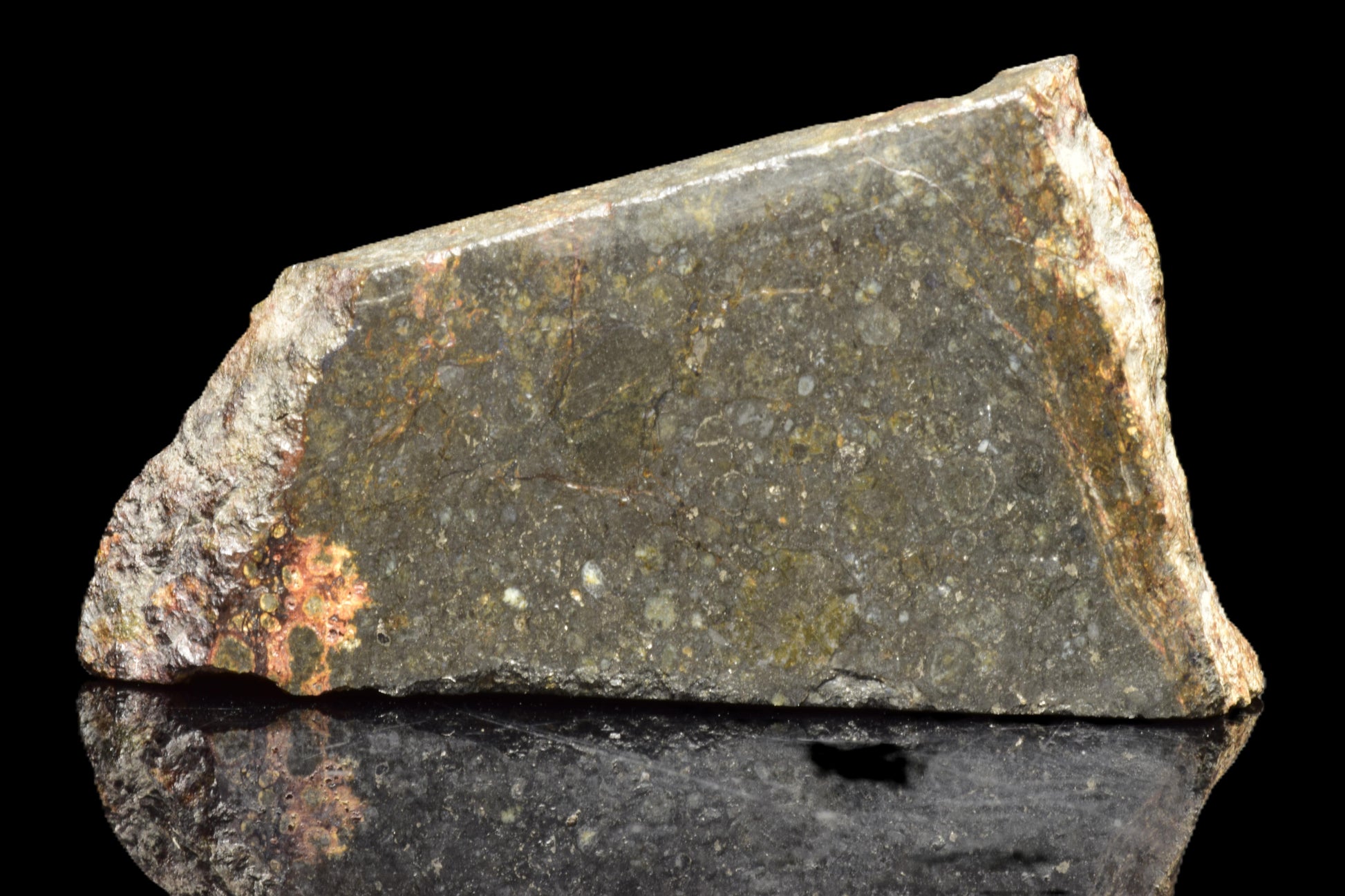NWA 14224 LL3 meteorite slice weighing 4.47 grams, displayed on a white background, showcasing its dark, textured surface.