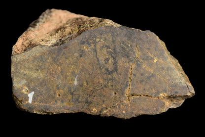 NWA 13272 Ungrouped Achondrite 51.6 G