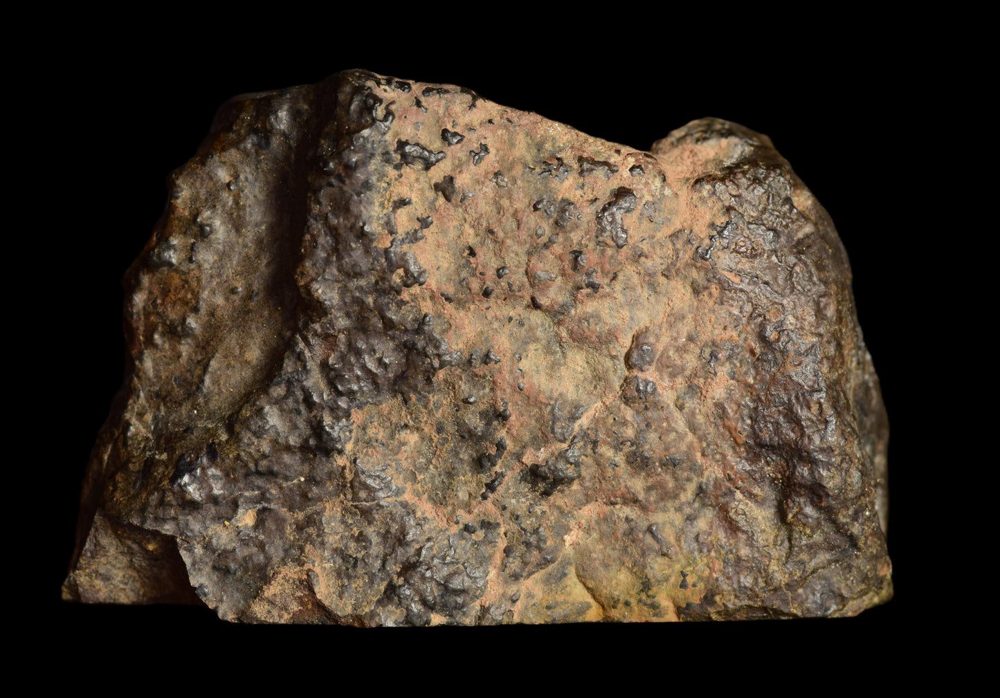 NWA 13272 Ungrouped Achondrite 51.6 G