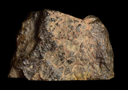 NWA 13272 Ungrouped Achondrite 51.6 G