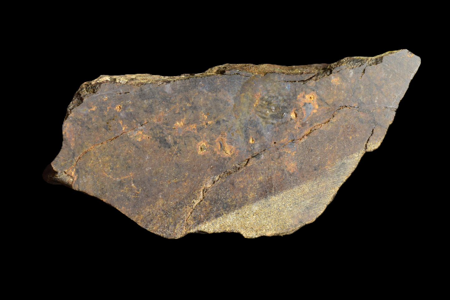 NWA 13272 Ungrouped Achondrite 7.23 G