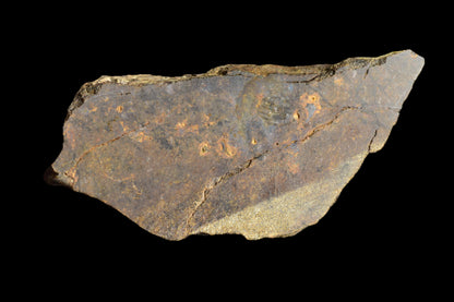 NWA 13272 Ungrouped Achondrite 7.23 G