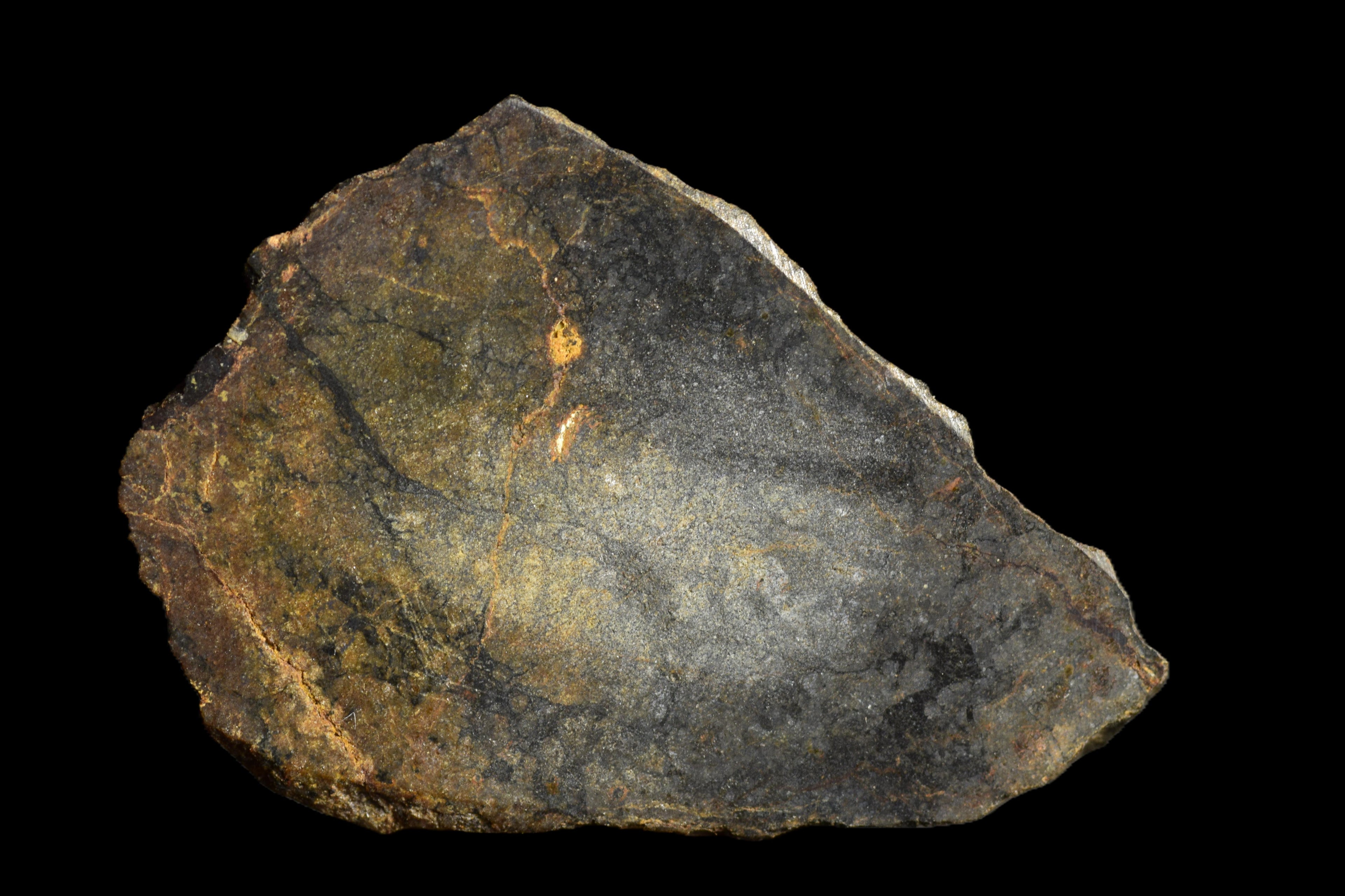 NWA 13272 Ungrouped Achondrite 3.09 G
