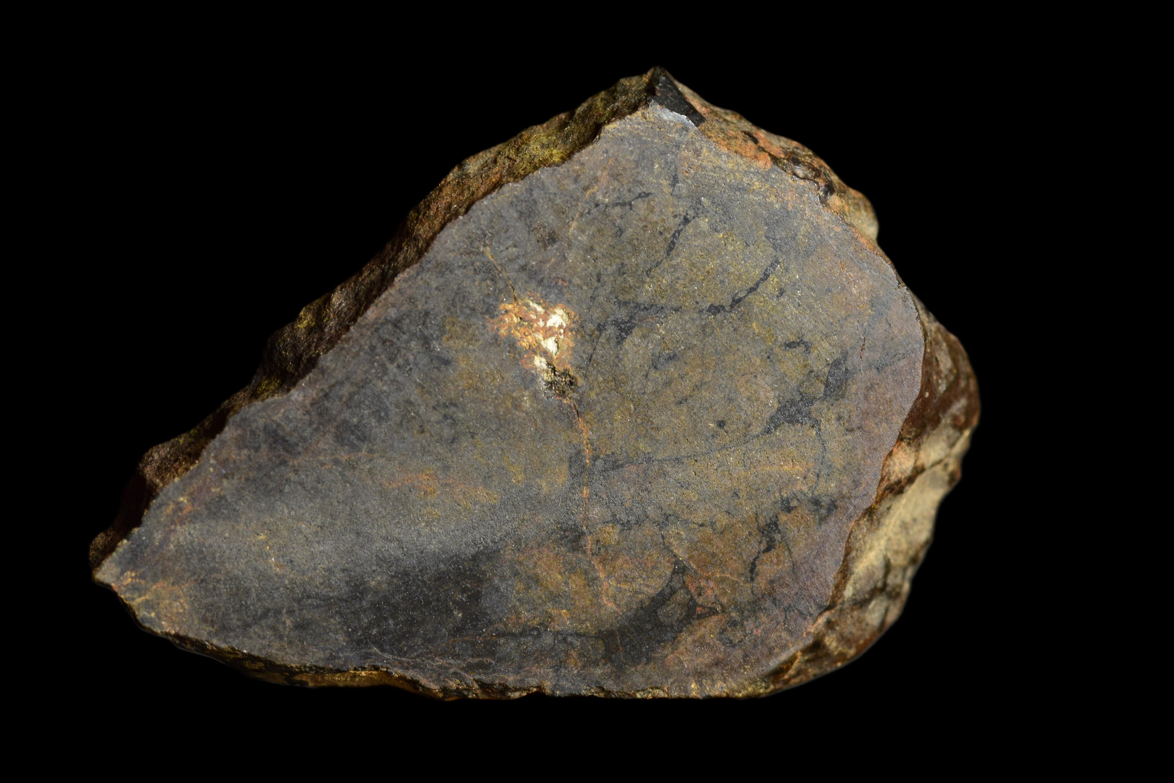 NWA 13272 Ungrouped Achondrite 3.09 G