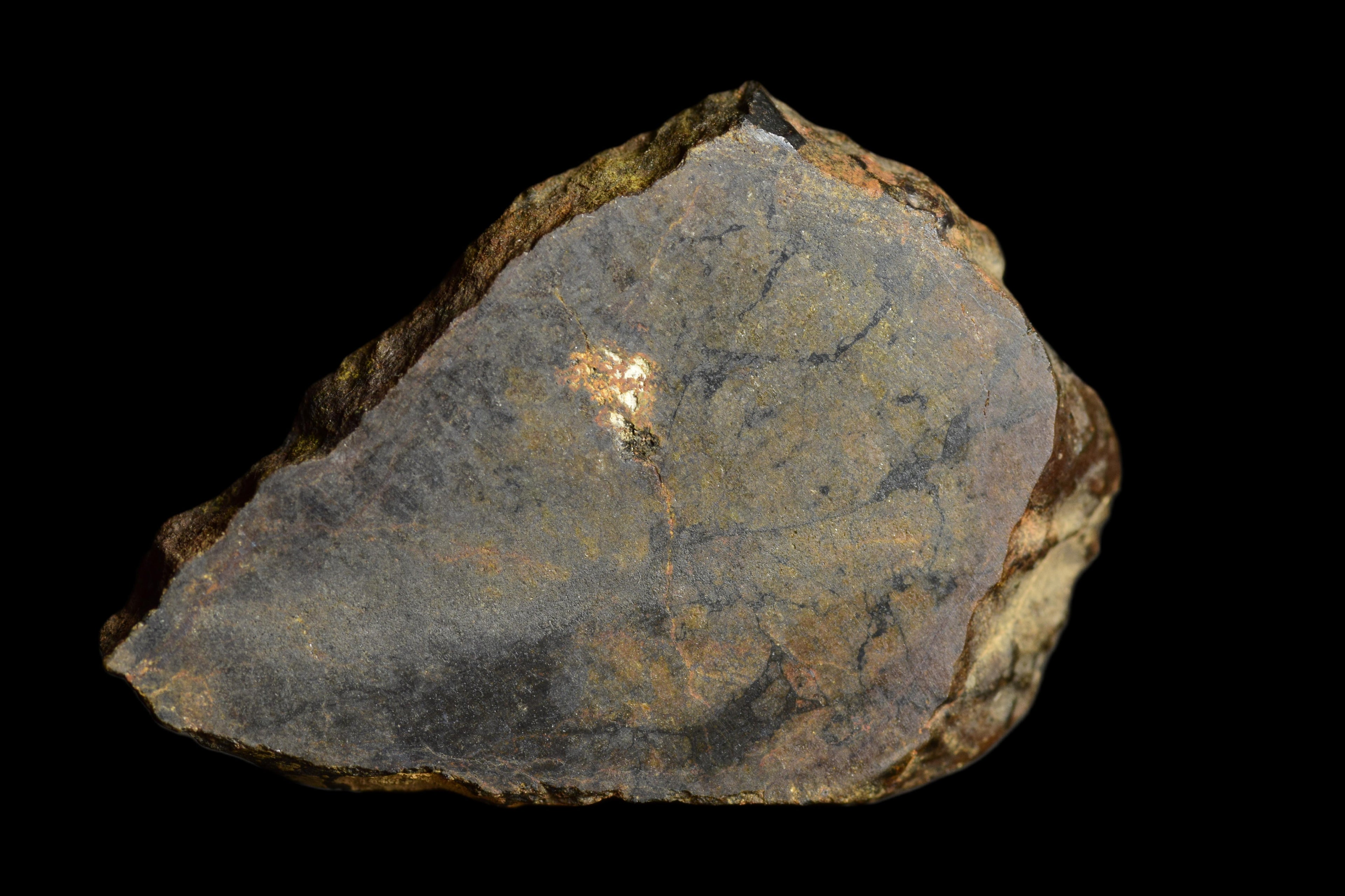 NWA 13272 Ungrouped Achondrite 3.09 G