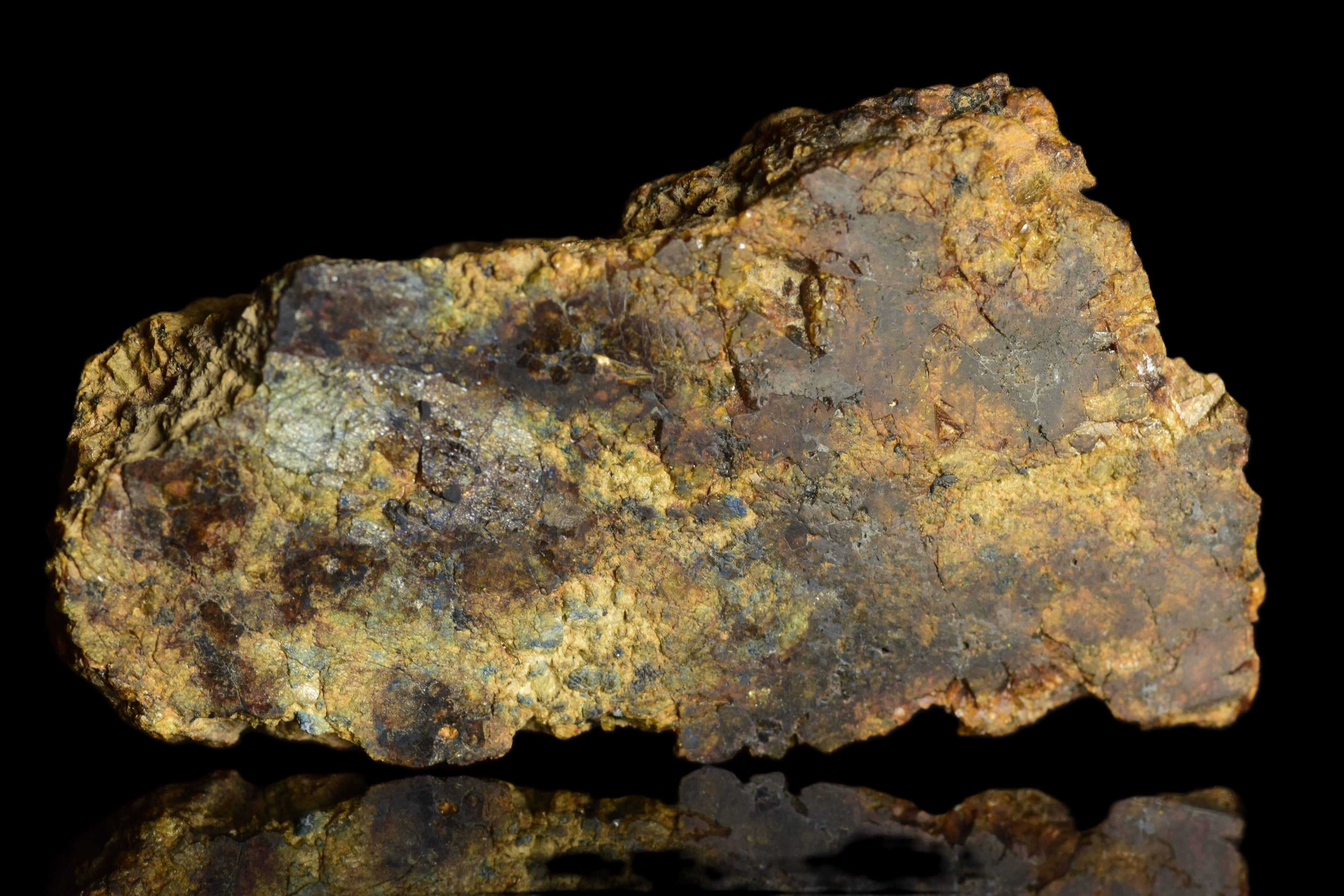 NWA 13692 Diogenite 32.96  G