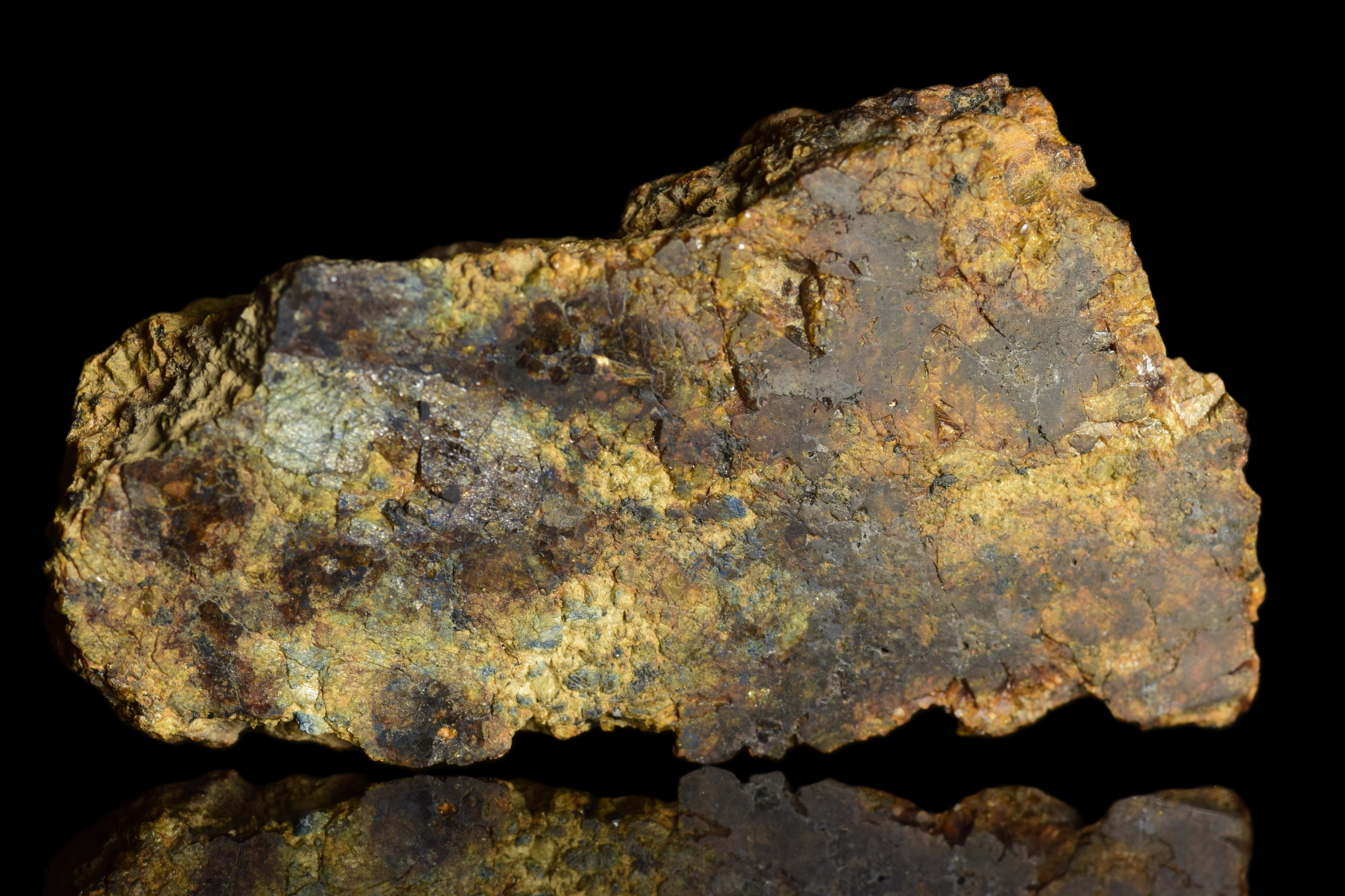 NWA 13692 Diogenite 32.96  G