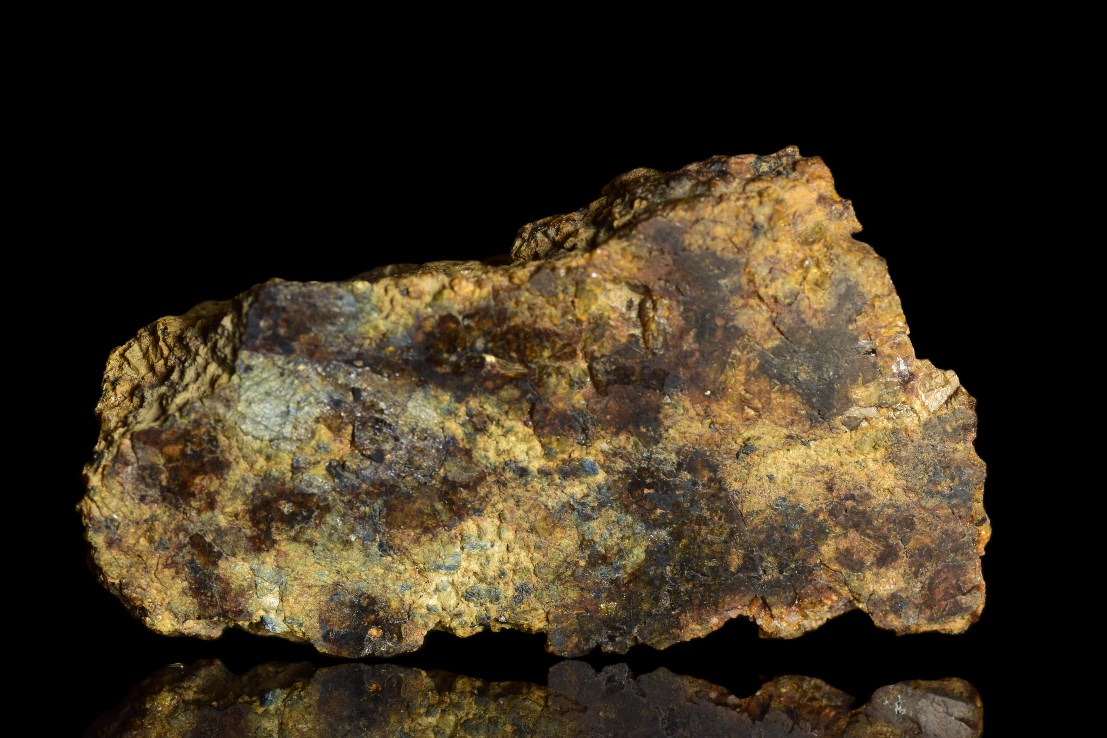 NWA 13692 Diogenite 32.96  G